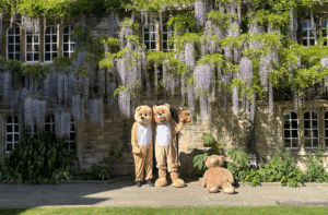 Two teddy bear mascots stood in front of the wisteria at St Edmund Hall